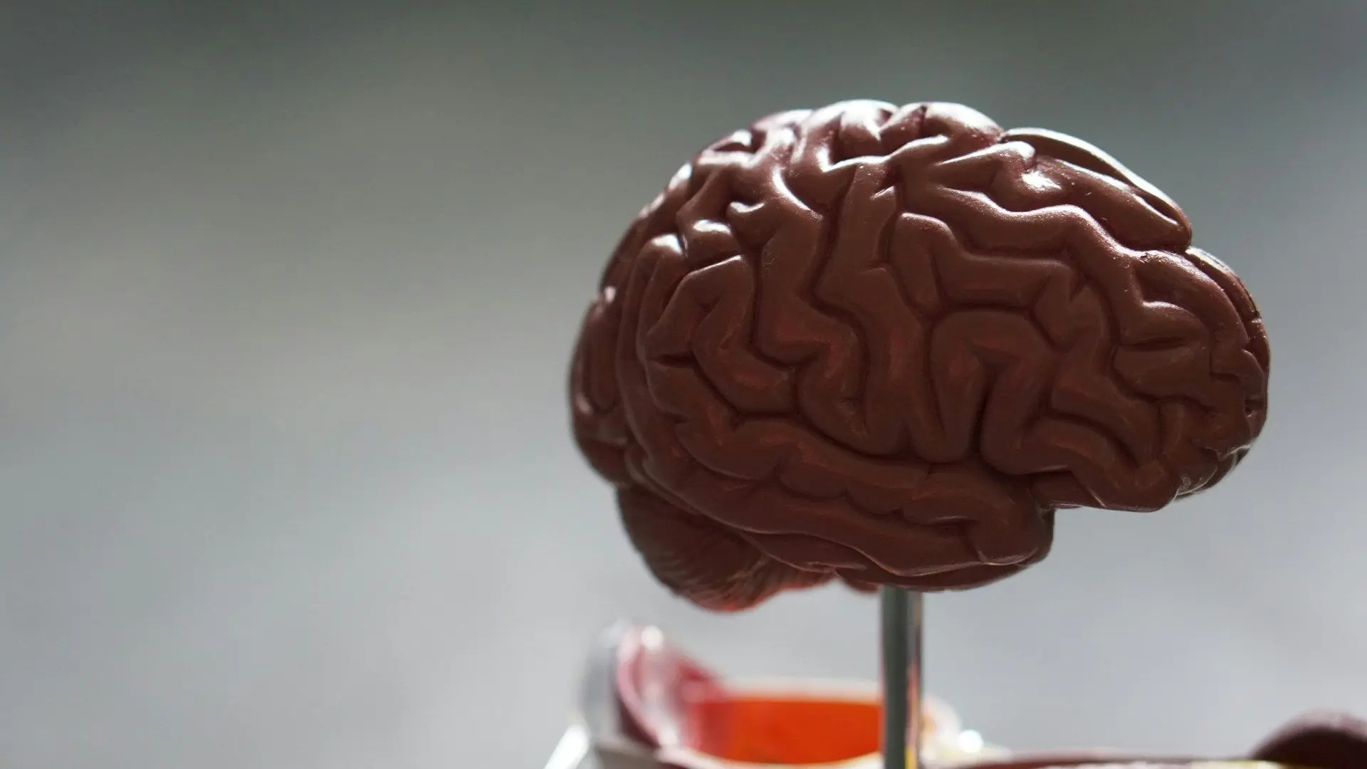 Розкриють таємниці хвороби Альцгеймера та аутизму: розроблено ШІ-карту мозку
