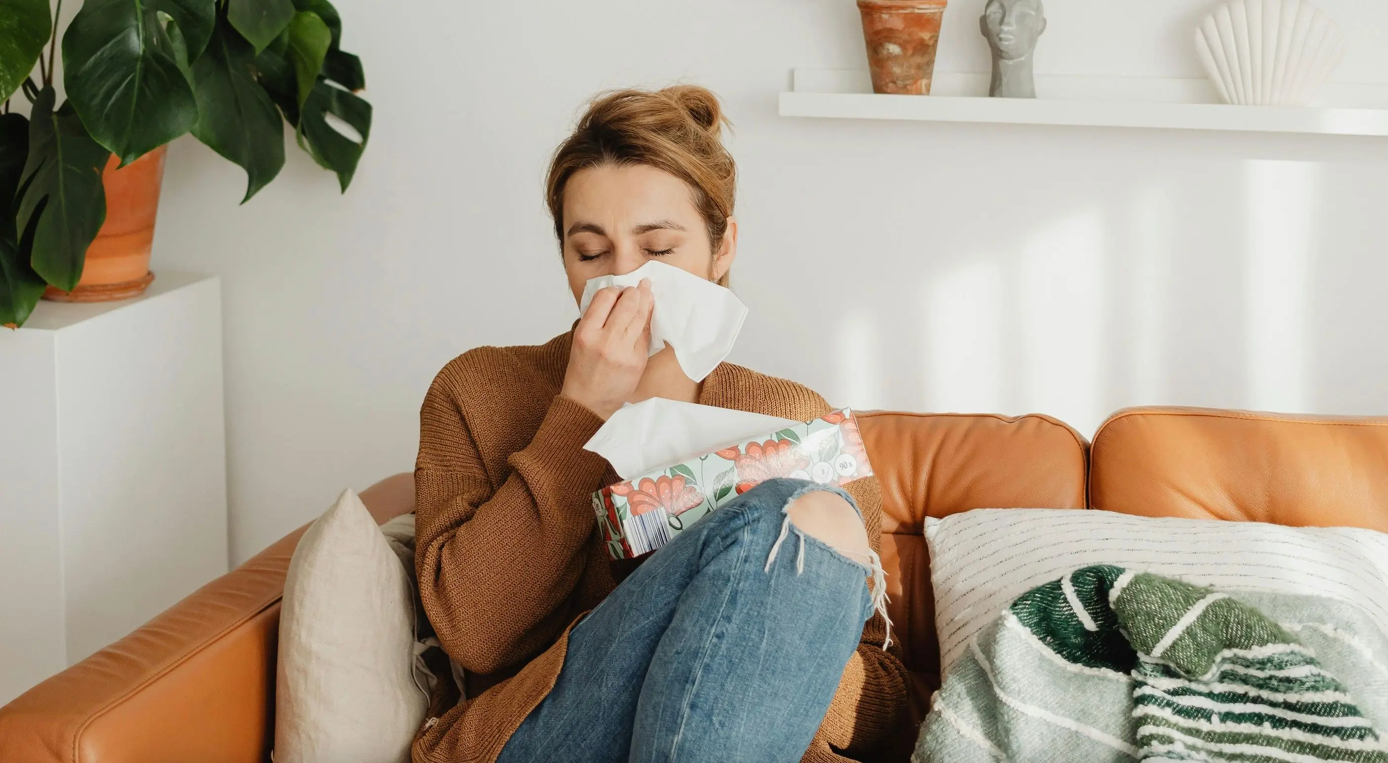 Чому деякі алергії мають сезонний характер та що їх викликає?

Чому деякі алергії виникають лише у певні періоди року та які алергени їх спричиняють?
