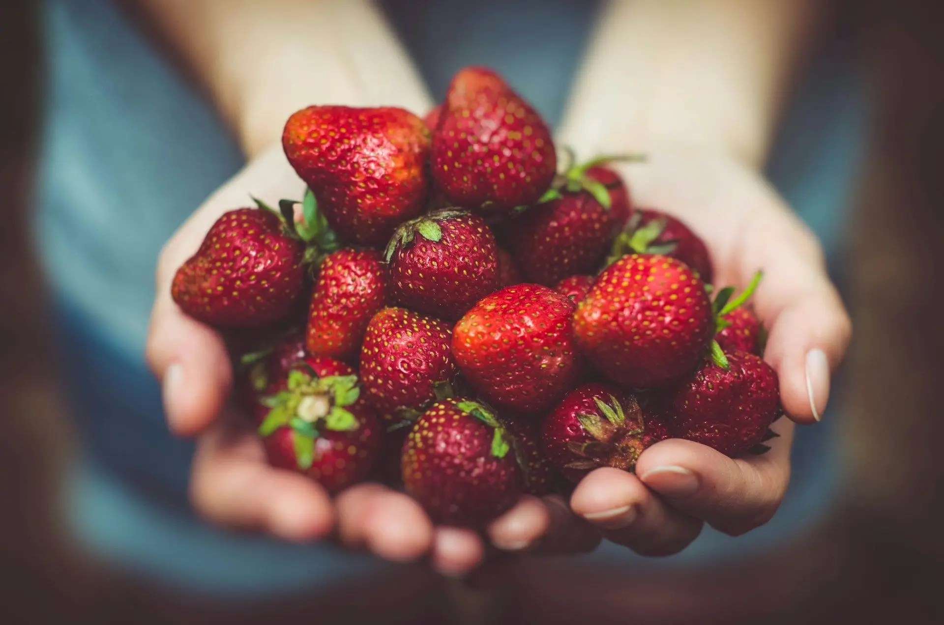 Період полуничного сезону: користь, шкода та люди, яким не рекомендовано споживати цю ягоду.
