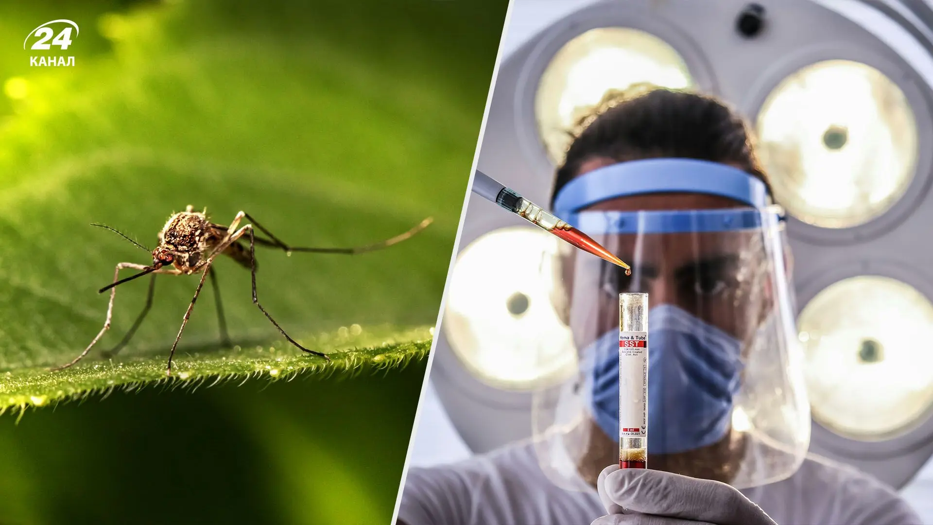 Лихоманка денге: що відомо про небезпечну хворобу, яка вже поширилася в Україні